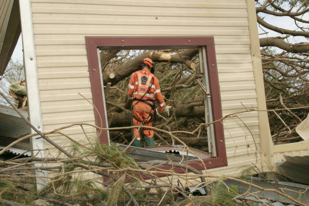 Palo Cedro, CA Tree Care Services Company